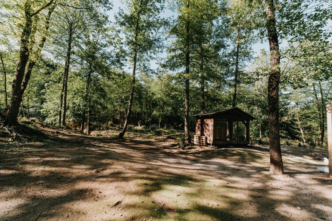Hotel Kostelski Buk Біхач Екстер'єр фото